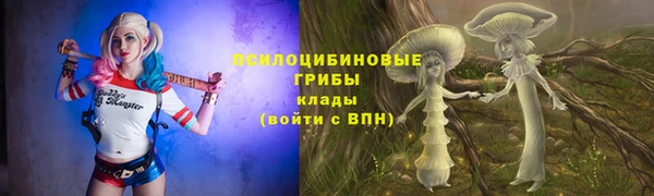 дмт Абинск