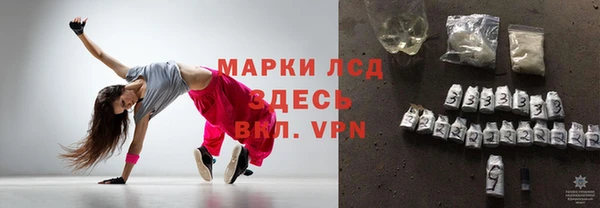 гидра Абаза