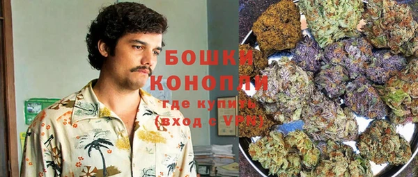 гидра Абаза