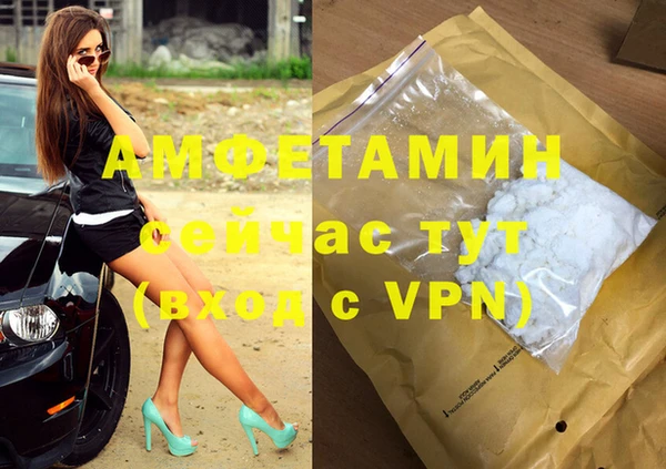 гидра Абаза