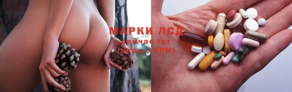 гидра Абаза