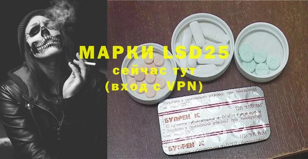 гидра Абаза