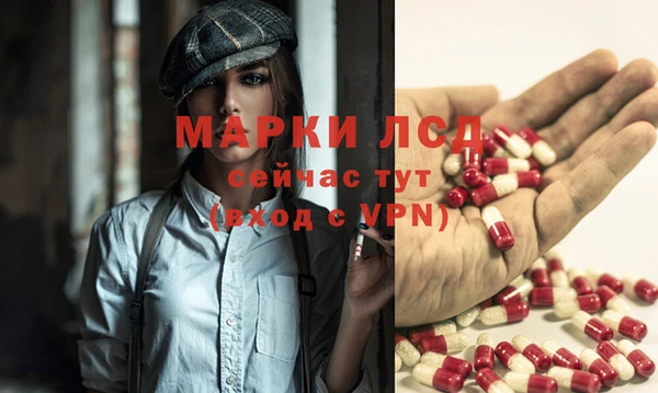 гидра Абаза