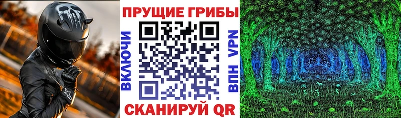 Псилоцибиновые грибы MAGIC MUSHROOMS купить наркоту Горячеводский